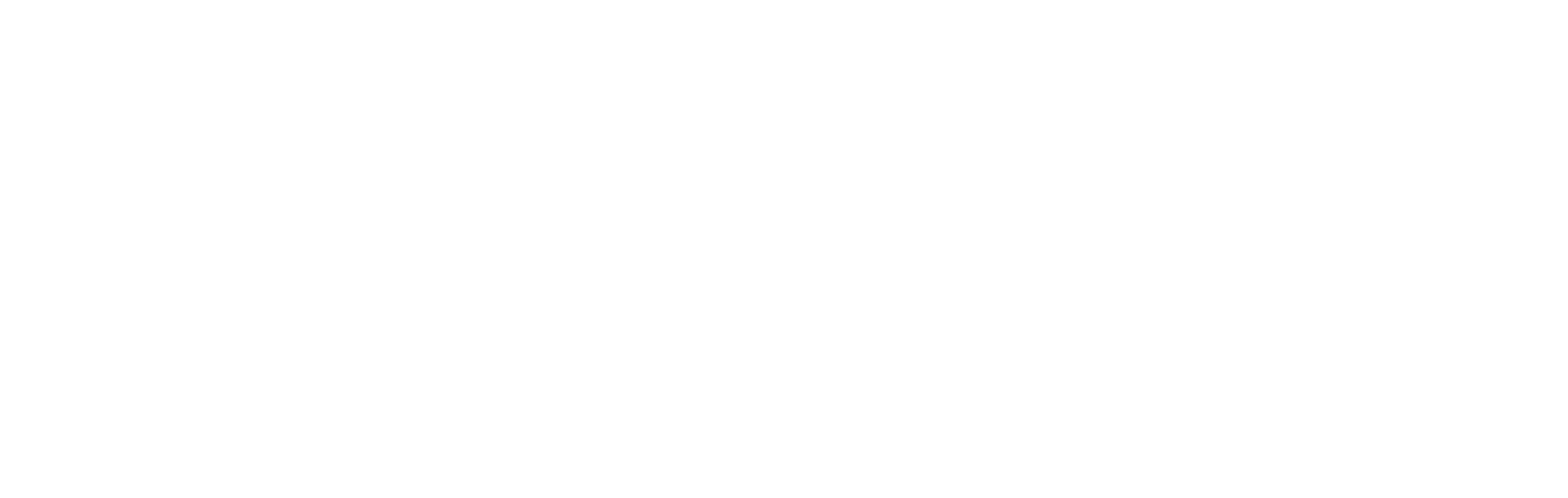 Freiwillige Feuerwehr Marburg